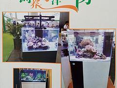 專業(yè)海洋生物魚(yú)缸選購(gòu)指南 水藍(lán)玻璃制品公司如何為您打造理想水族世界