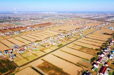 啟東鄉村游再登央視，沙地圩田文化與創新投資雙輪驅動