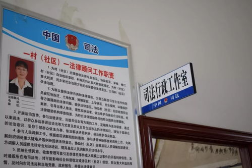 計算機科技賦能鄉村實業，煙臺萊州見證科技志愿服務新篇章